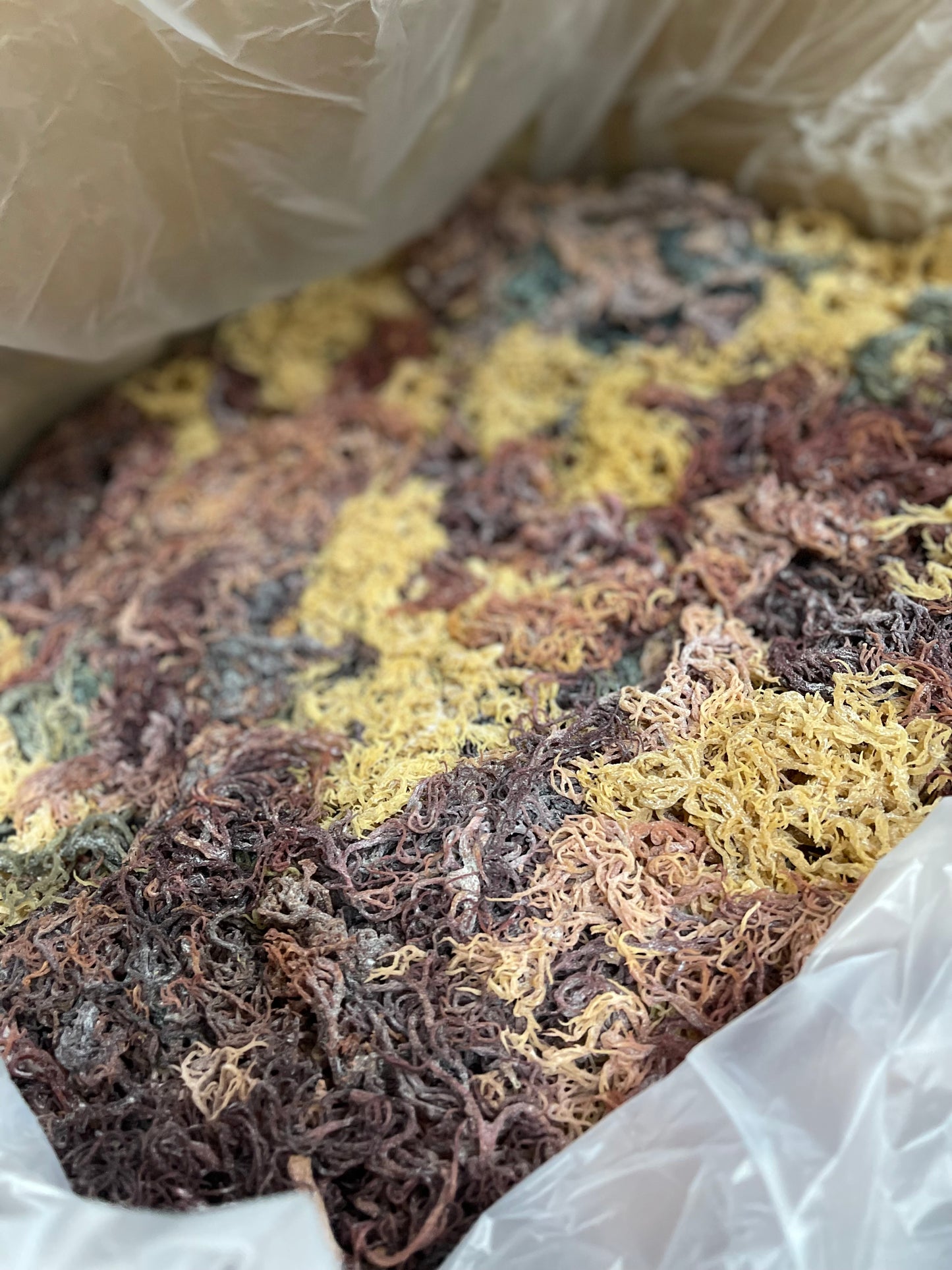 Full Spectrum St. Lucian Sea Moss