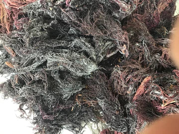 Super Dry Purple  St. Lucian Sea Moss