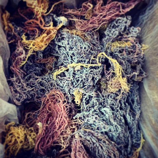 Premium Full Spectrum St. Lucian Sea Moss BULK