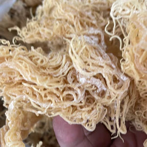 Gold St. Lucian Sea Moss