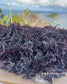 Purple  St. Lucian Sea Moss